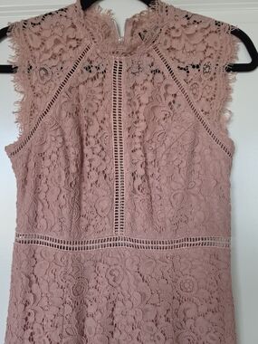 Bardot Dusty Rose Lace Dress